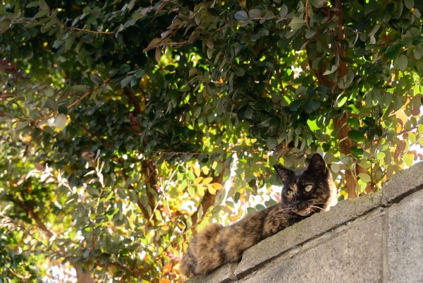 DSC_1477.jpg