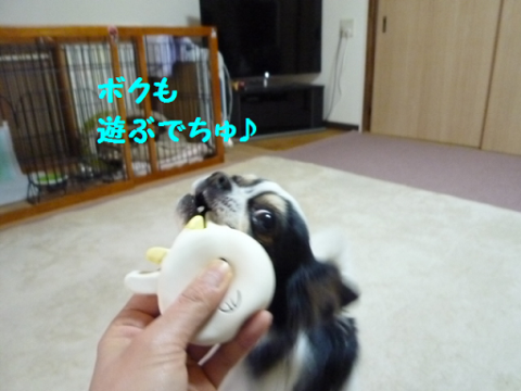 201327-11.png