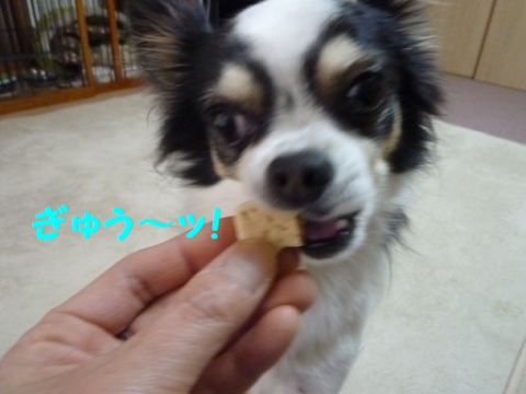 201327-9.png