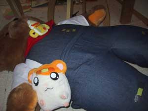 ケガくま