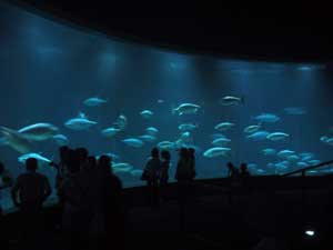 葛西水族館