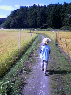 幼稚園への道