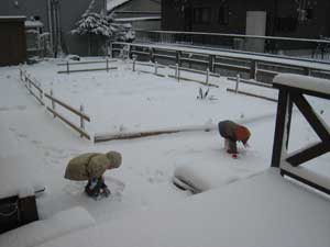 初雪大雪