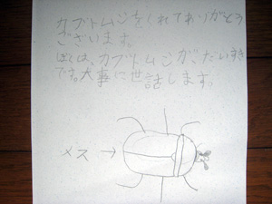 手紙2