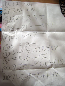 一覧表