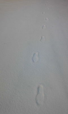 2011-01-28 17:14:45