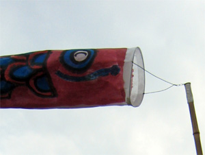 koinobori