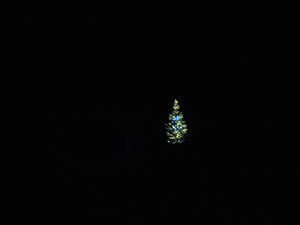 クリスマスツリー