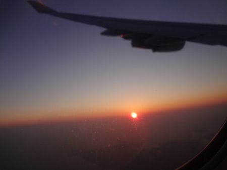 1402068.jpg