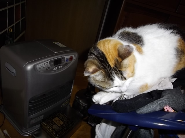 IMGP1281.jpg