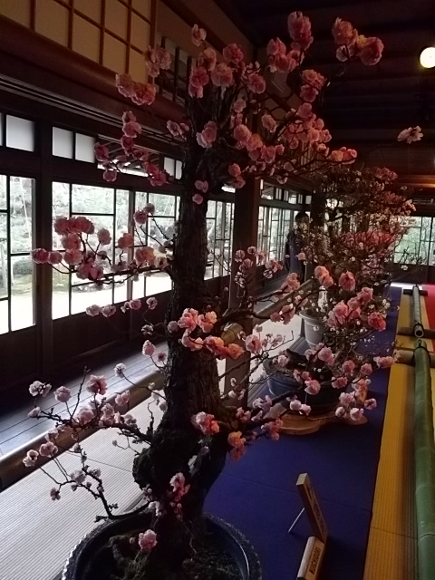 IMGP1359.jpg