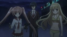 杏の歩の日々