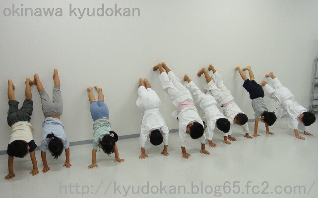okinawa shorinryu kyudokan 20111110 053