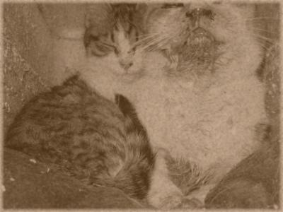 IMG_2083+_RR.jpg