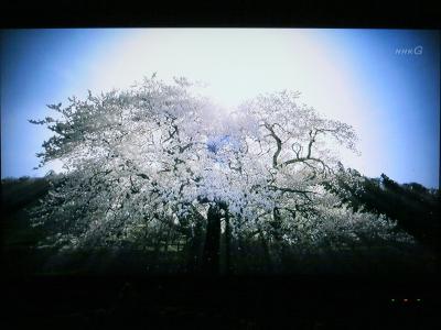 IMG_2106_R.jpg