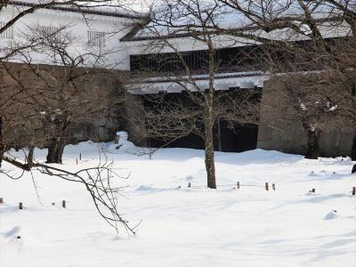 P2058298_R.jpg