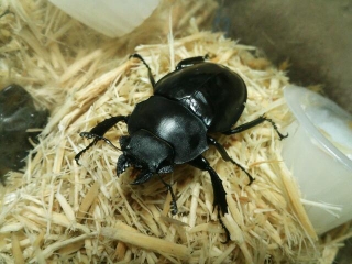 20131127_013453.jpg