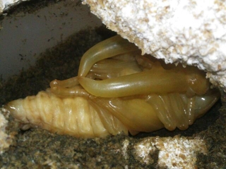 20131202_234533.jpg