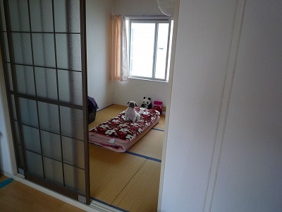 P1140057.jpg