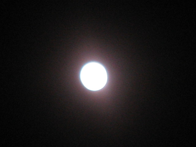 IMG_2734.jpg