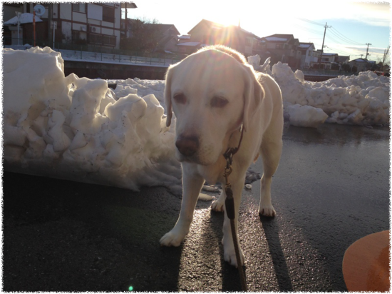 duQhy_LkjsL36_C1392524634_1392524667.png