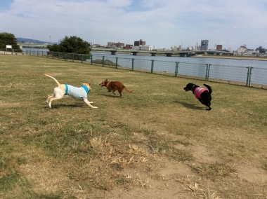 すこ3