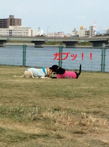 すこ4
