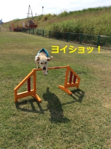 すこ8