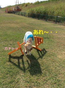 すこ10