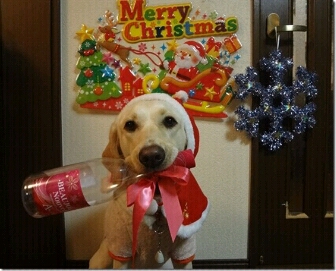 fc2_2013-12-25_19-39-11-178.jpg