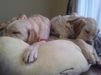 fc2_2013-12-26_09-03-42-292.jpg