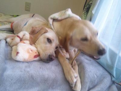 fc2_2013-12-26_09-04-47-306.jpg