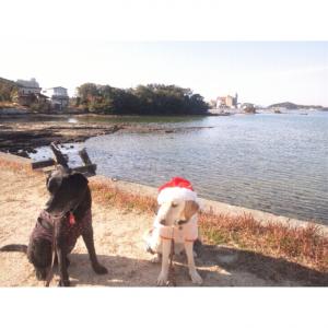 fc2_2013-12-26_19-37-25-858.jpg