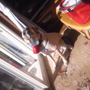 fc2_2013-12-26_19-38-43-073.jpg