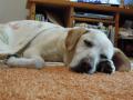 DSCN1070.jpg