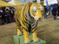 DSCN1287.jpg