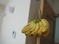 DSCN1299.jpg