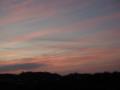 DSCN1302.jpg