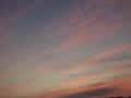 DSCN1303.jpg