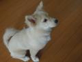 DSCN1323.jpg