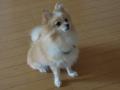 DSCN1328.jpg