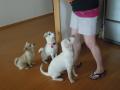 DSCN1329.jpg