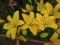 DSCN1649.jpg