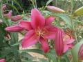 DSCN1651.jpg