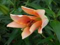 DSCN1655.jpg