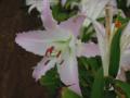 DSCN1658.jpg