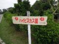 DSCN1670.jpg