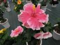 DSCN1683.jpg