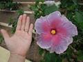 DSCN1696.jpg