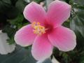 DSCN1705.jpg